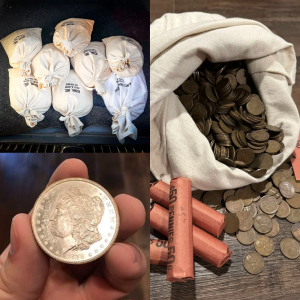 🪙Morgan Silver Dollars 1878-1921