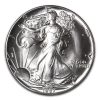 1987 American Silver Eagle