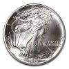 1989 American Silver Eagle