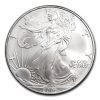 2006 American Silver Eagle